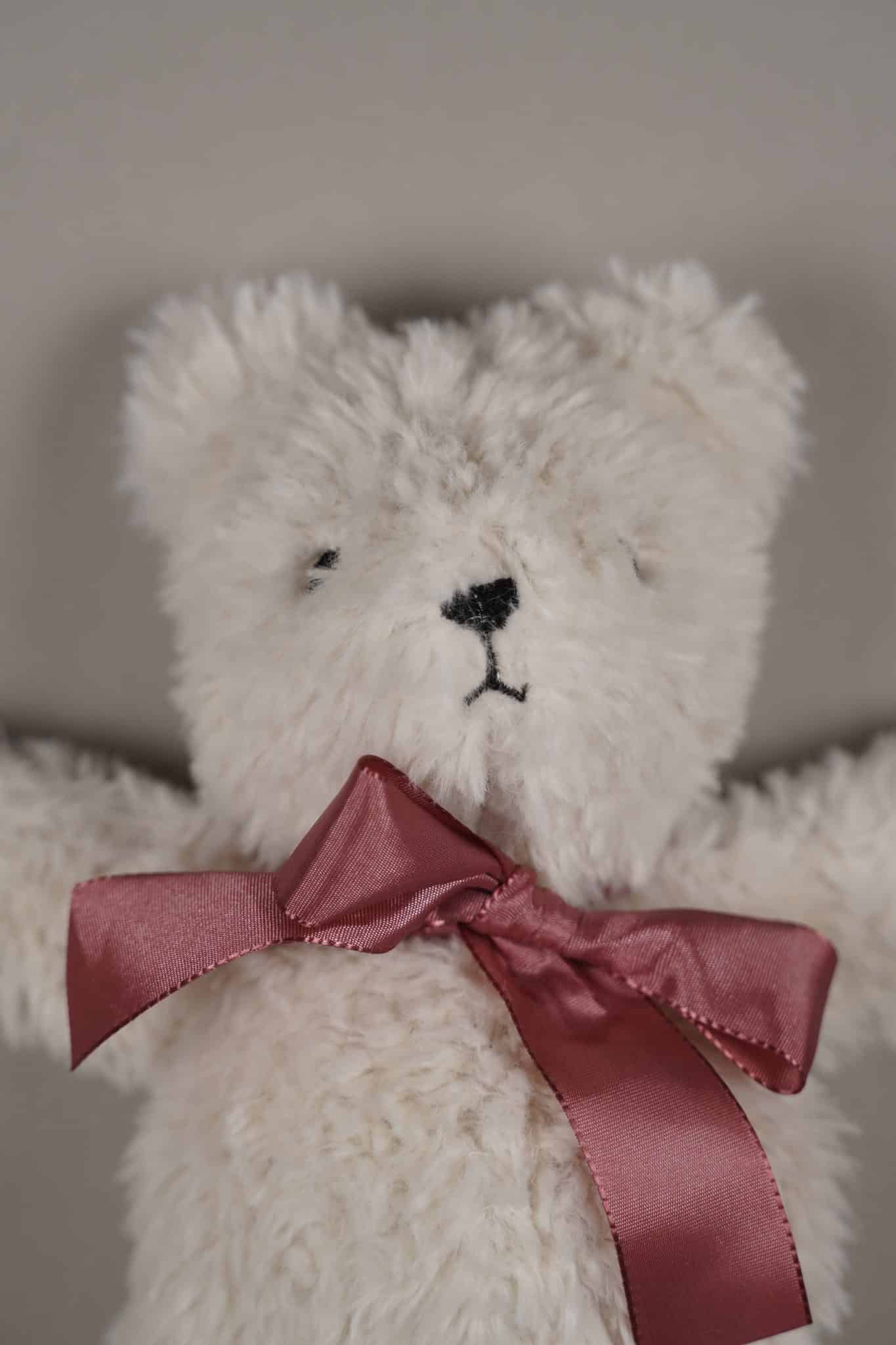 Fichier de broderie ITH Teddy ELLY + cours vidéo