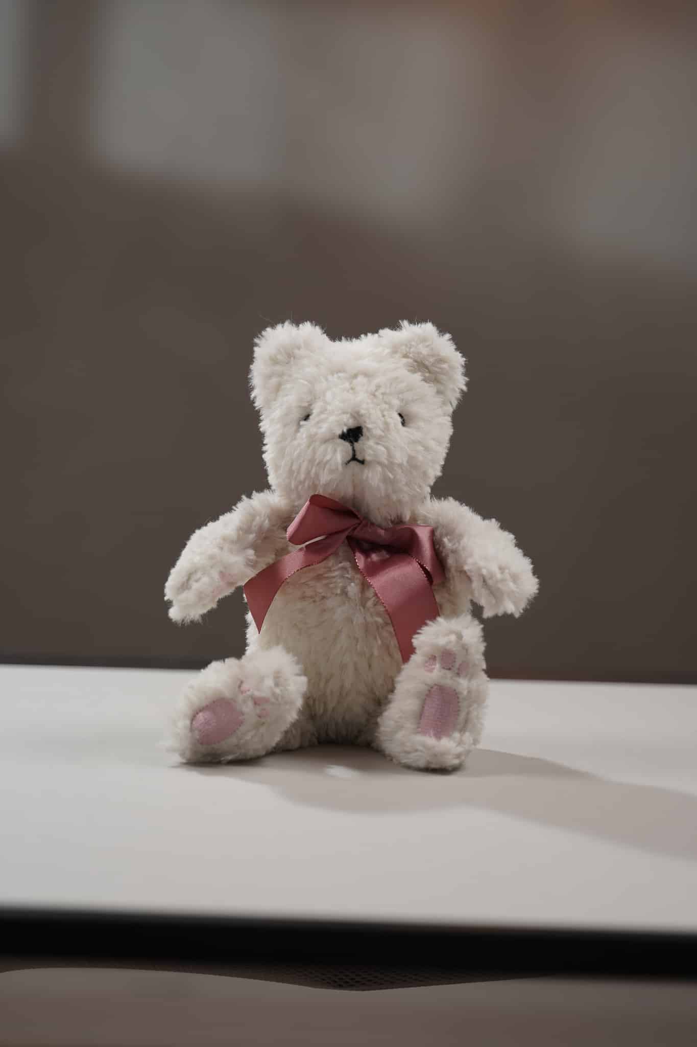 ITH Stickdatei Teddy ELLY + Videokurs - Make ma!