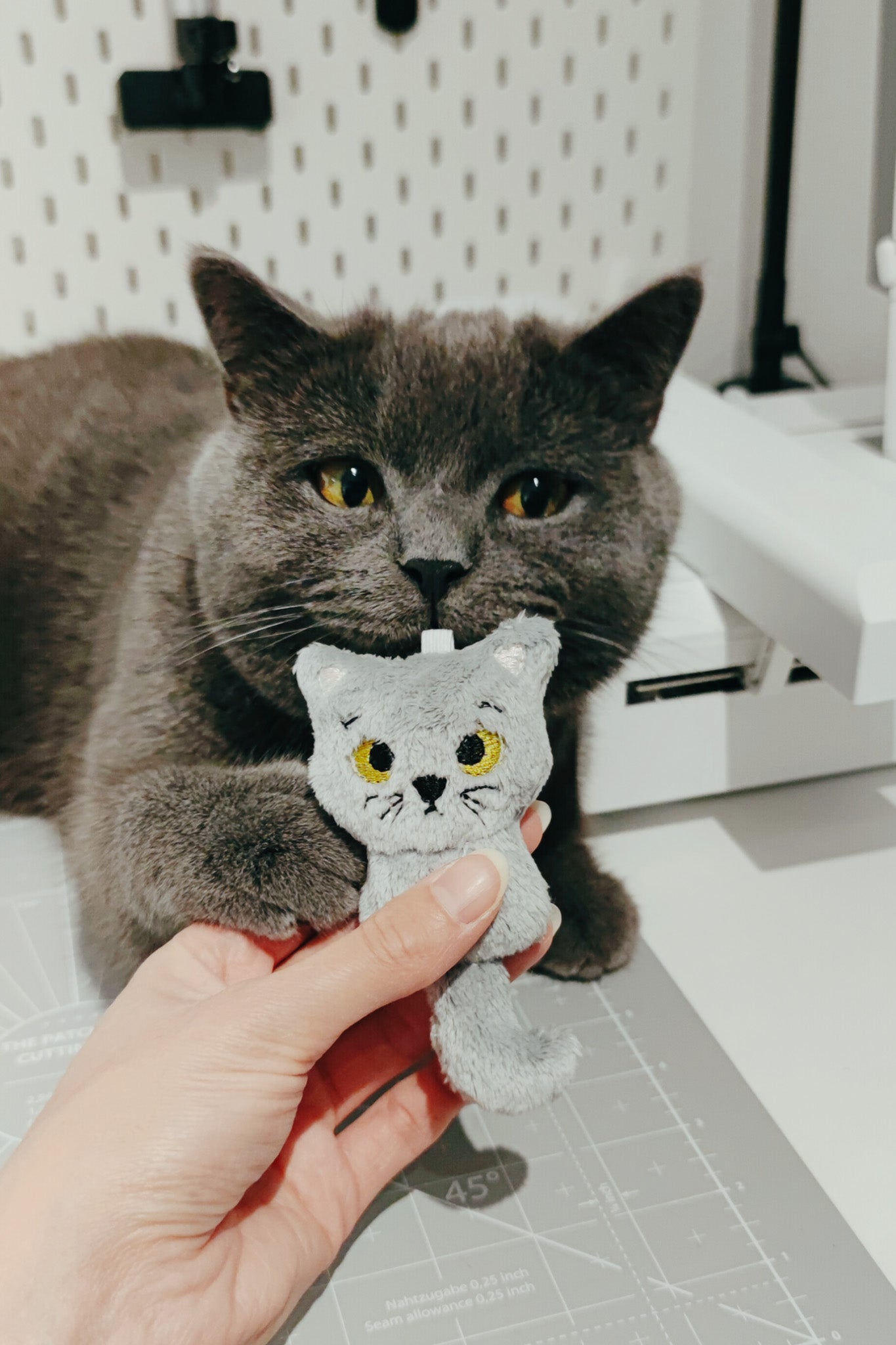 ITH Stickdatei Katze für die Stickmaschine