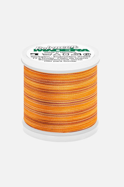 Madeira Polyneon 40 – 200 m Multicolor Polyester Stickgarn - Make ma!