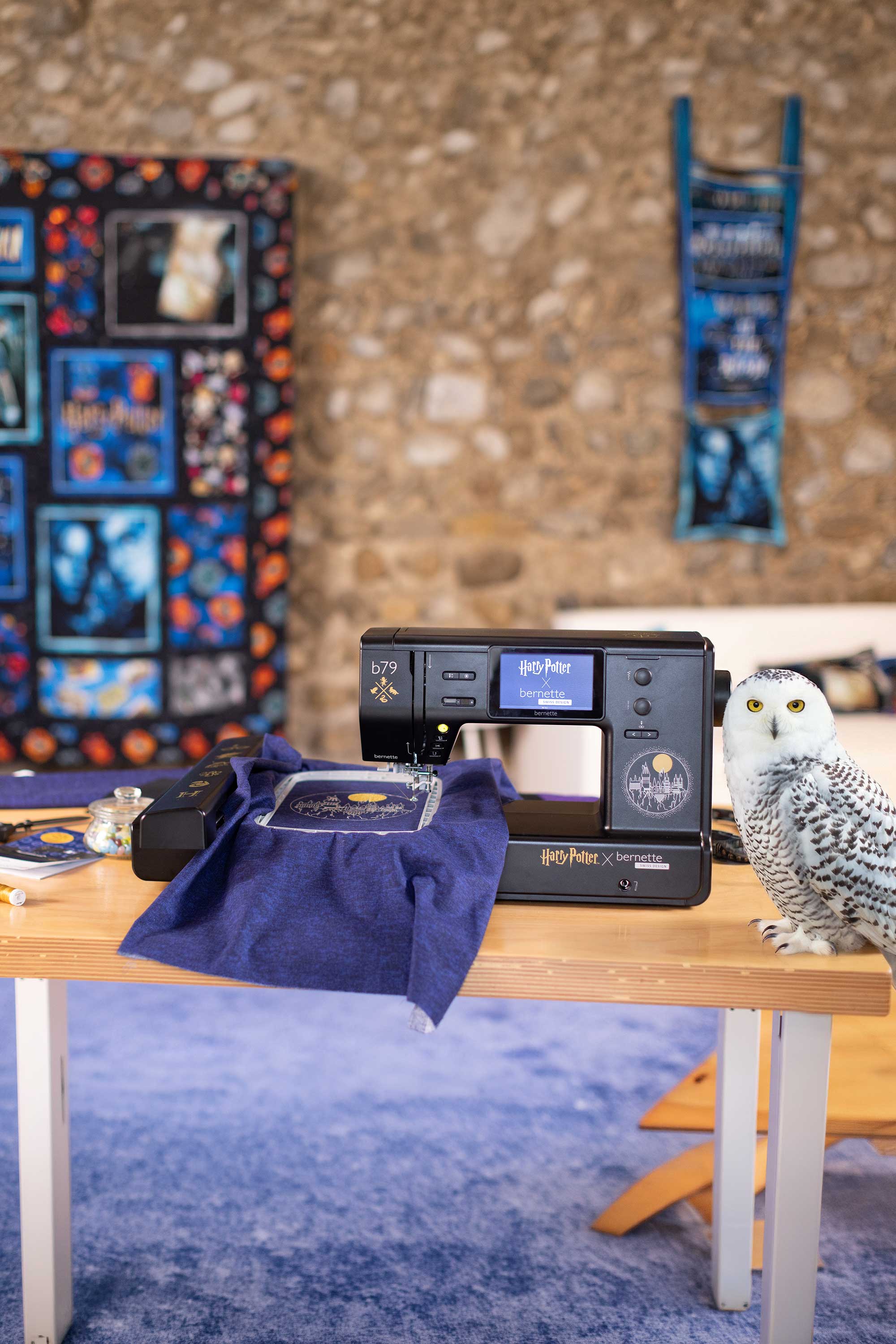 Bernette b79 Harry Potter édition spéciale avec cours vidéo