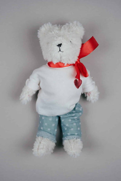 shirt und hose für teddy