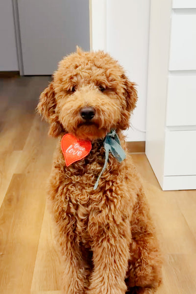 Fichier de broderie ITH pendentif TRUE LOVE